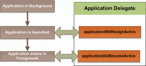 What-is delegate-means
